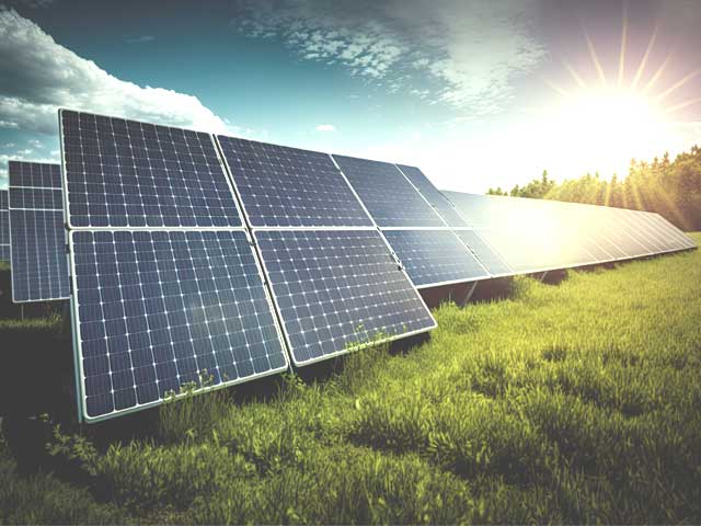 Sorgfältige Montage durch Fachpersonal in Bad Wildungen